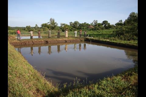 Farm Africa's fish farming project leads to biggest harvest yet